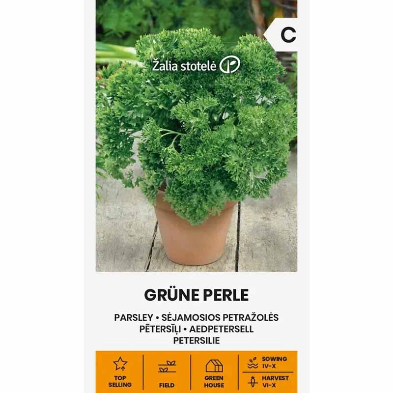 Persilja 'Grüne perle'
