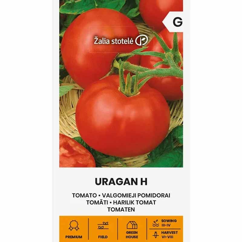 Tomaatti 'Uragan' H
