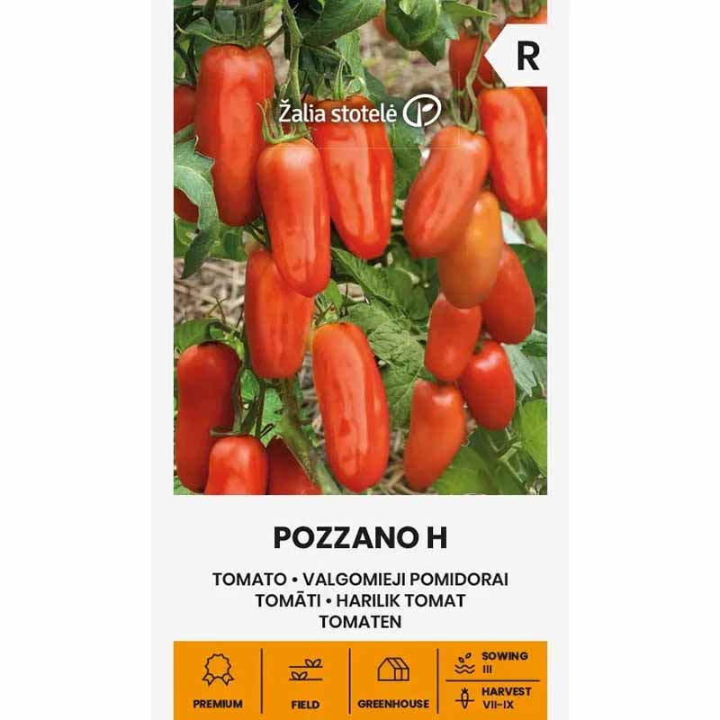 Tomaatti 'Pozzano' H