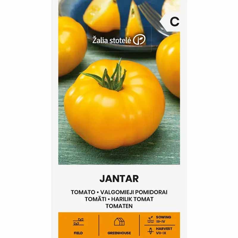 Tomaatti 'Jantar'