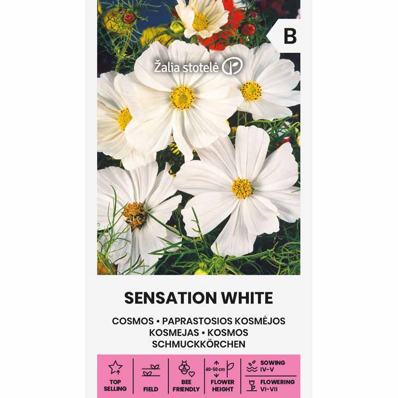 Kosmos 'Sensation white'