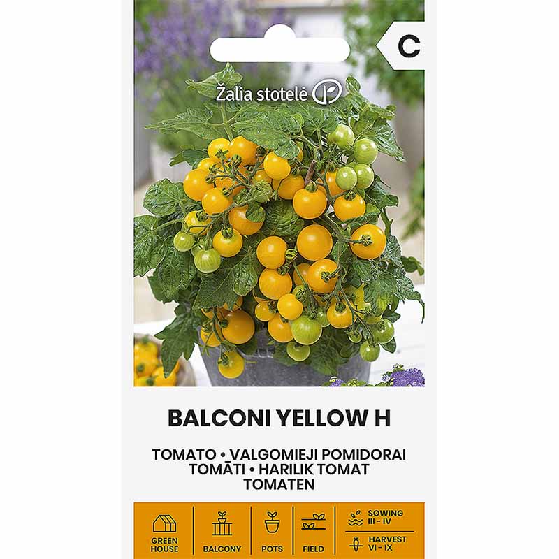 Tomaatti 'Balconi yellow' H