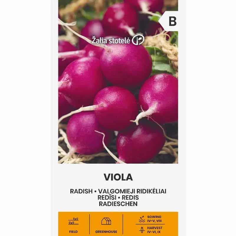 Retiisi 'Viola'