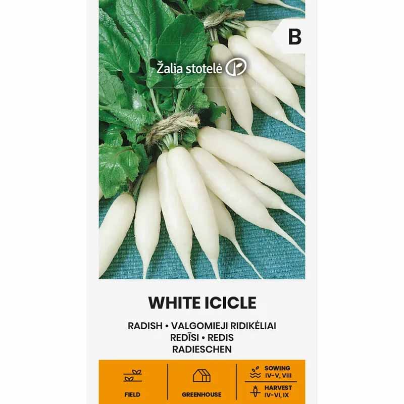 Retiisi 'Icicle'