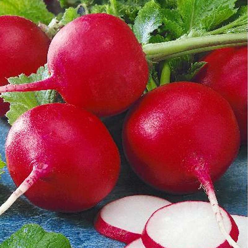 Retiisi 'Cherry belle'