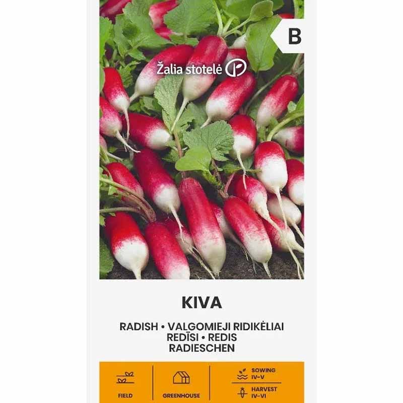 Retiisi 'Kiva'