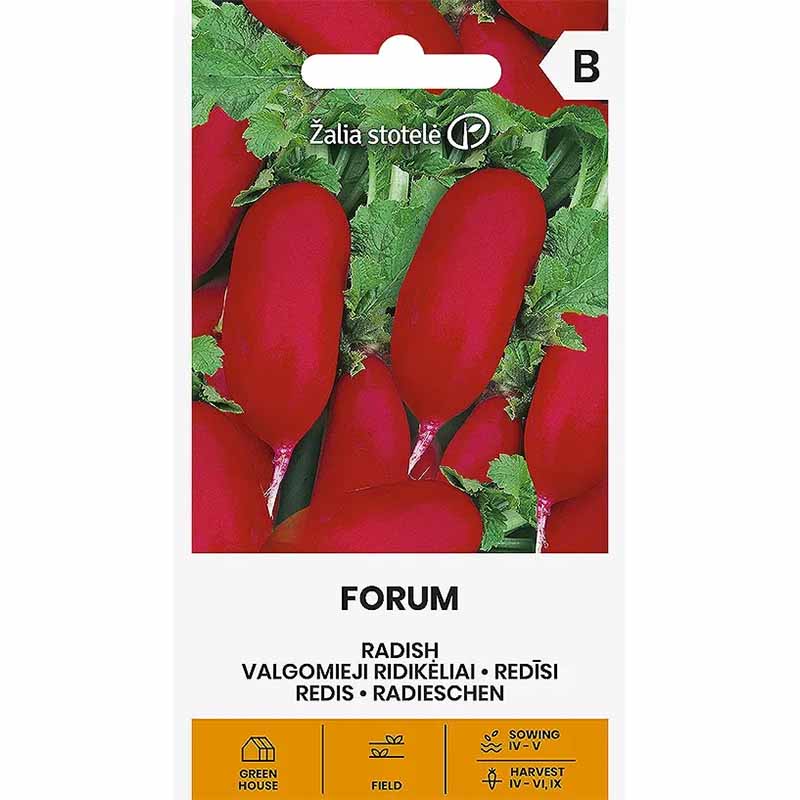 Retiisi 'Forum'