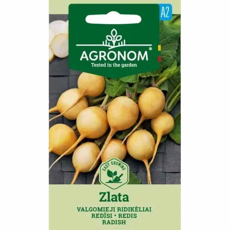 Reddik 'Zlata'