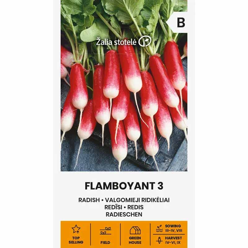 Reddik 'Flamboyant 3'