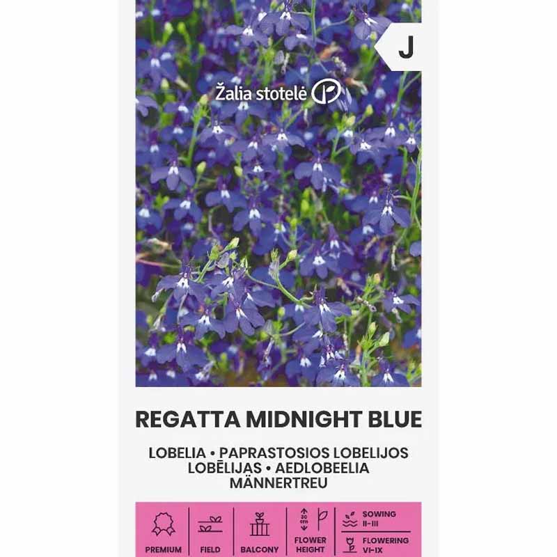 Riippalobelja 'Midnight blue'