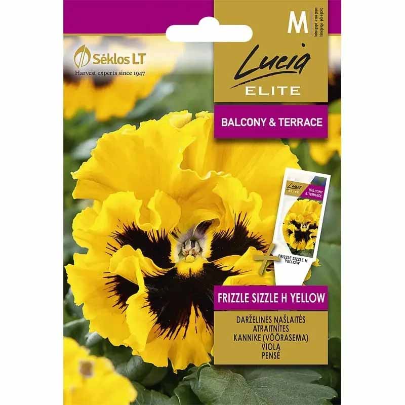 Orvokki 'Frizzle Sizzle' H