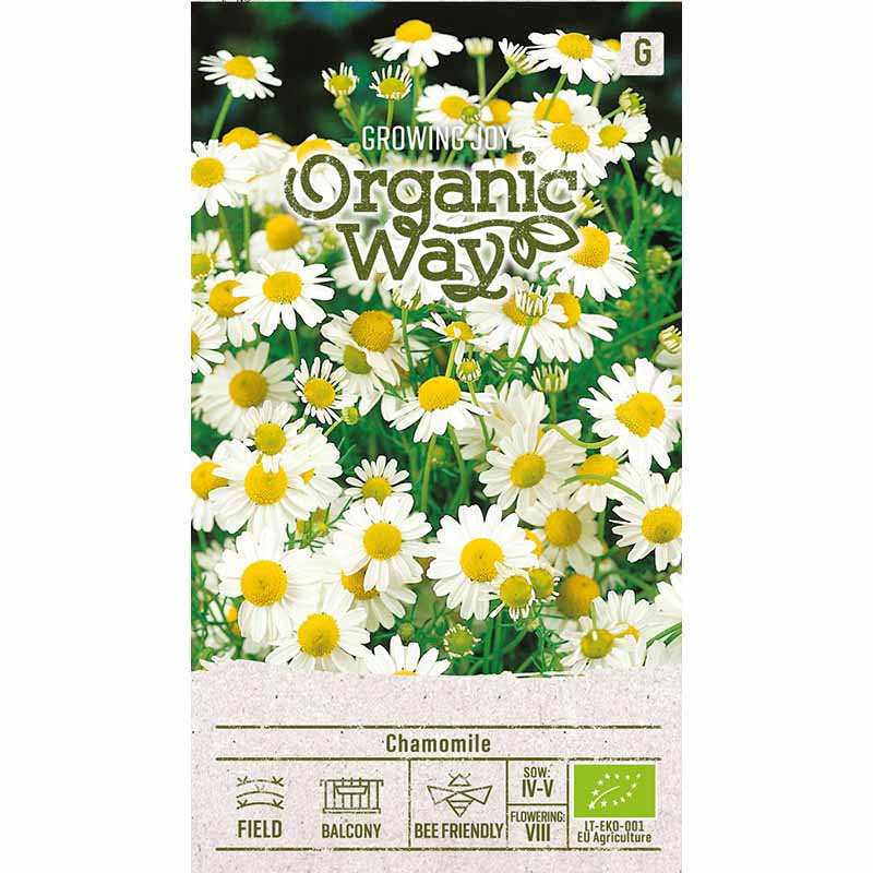 Chamomile