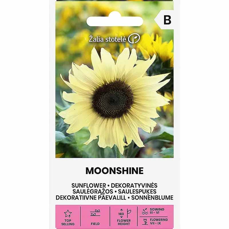 Auringonkukka 'Moonshine'