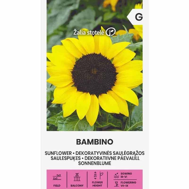 Auringonkukka 'Bambino'