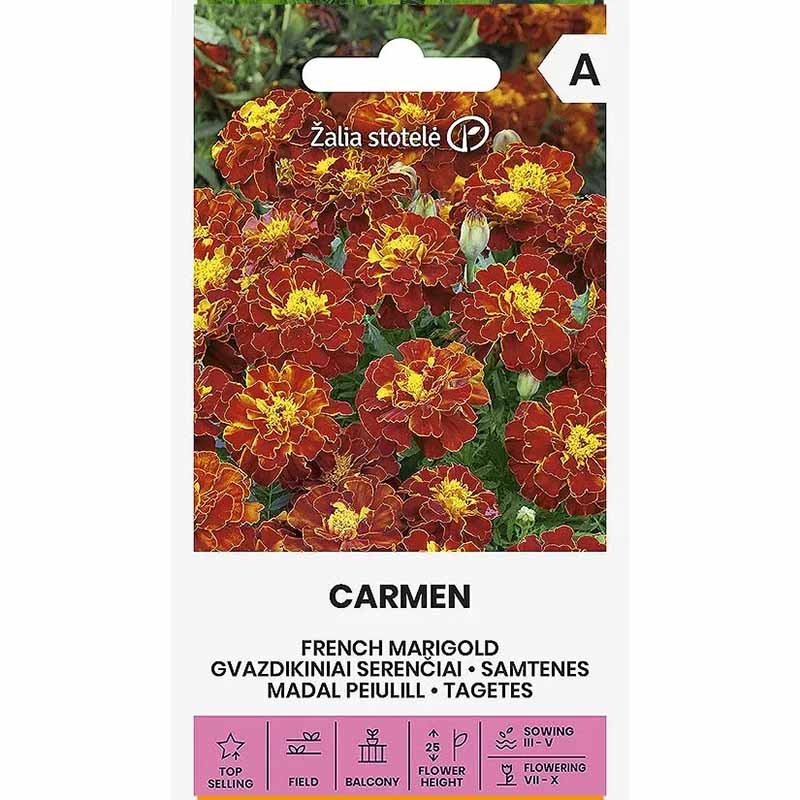 Samettikukka 'Carmen'